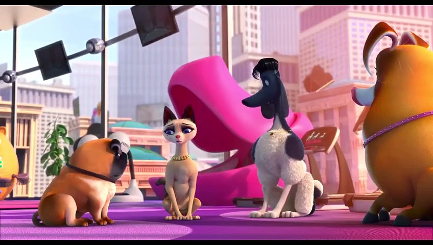 New animation movies 2020Pets United